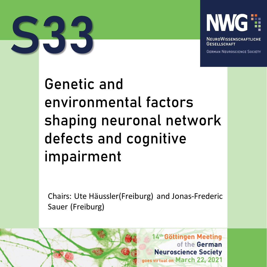 German Neuroscience Society - NWG tweet media