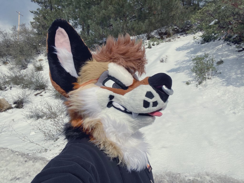 deserteeth's tweet photo. snow day 🌨 https://t.co/15LJcp5z3f