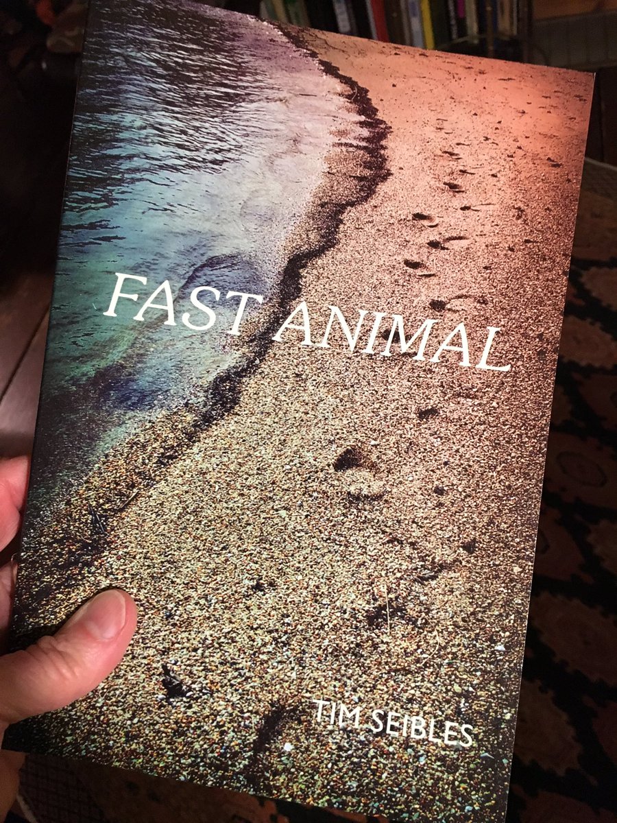 kjaydeee's tweet photo. “Curiosity: seed / that turns the world / into what // we are / told / by those who / were told / by still others / what’s what: / The Telling, // the great storm” > Tim Seibles in Fast Animal @etruscan_press https://t.co/Y1jF0mhOwn