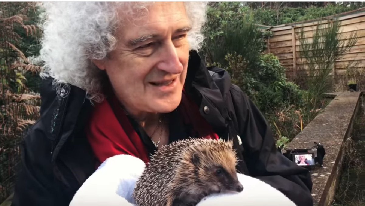 Mitsu 漢字 知らなかった はりねずみ ツンツンとモフモフ Brianmay Queen Nhk0655