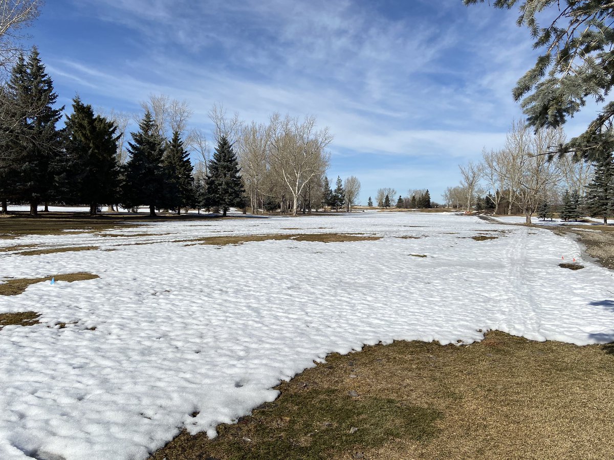 Everyday a little more turf is showing <a href="/CarstairsGolf/">Carstairs Golf</a> #springiscoming