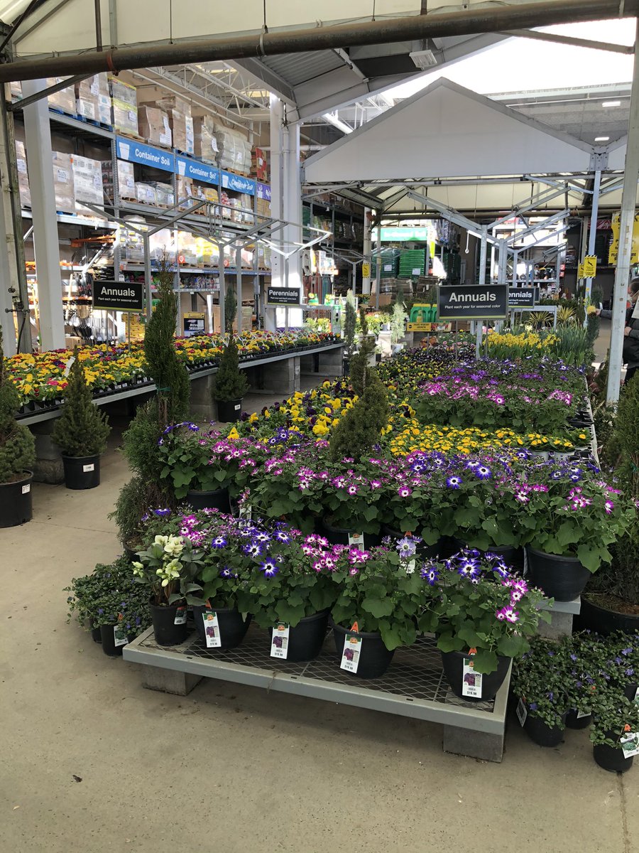 Tommy Henderson (@tommy_thd) on Twitter photo The Mall team just #KEEPsGETtingIt with some Fantastic partnership from our Amazing plant vendors. These Colors are just popping. π»πΈπΉ<a href="/KeyeMcginty/">Keye McGinty</a> @HD_Hedinger <a href="/AlexZ19130444/">Zherebnenko</a> <a href="/BReynolds503/">Bryan Reynolds</a> @Bselch The Mall team just #KEEPsGETtingIt with some Fantastic partnership from our Amazing plant vendors. These Colors are just popping. π»πΈπΉ<a href="/KeyeMcginty/">Keye McGinty</a> @HD_Hedinger <a href="/AlexZ19130444/">Zherebnenko</a> <a href="/BReynolds503/">Bryan Reynolds</a> @Bselch