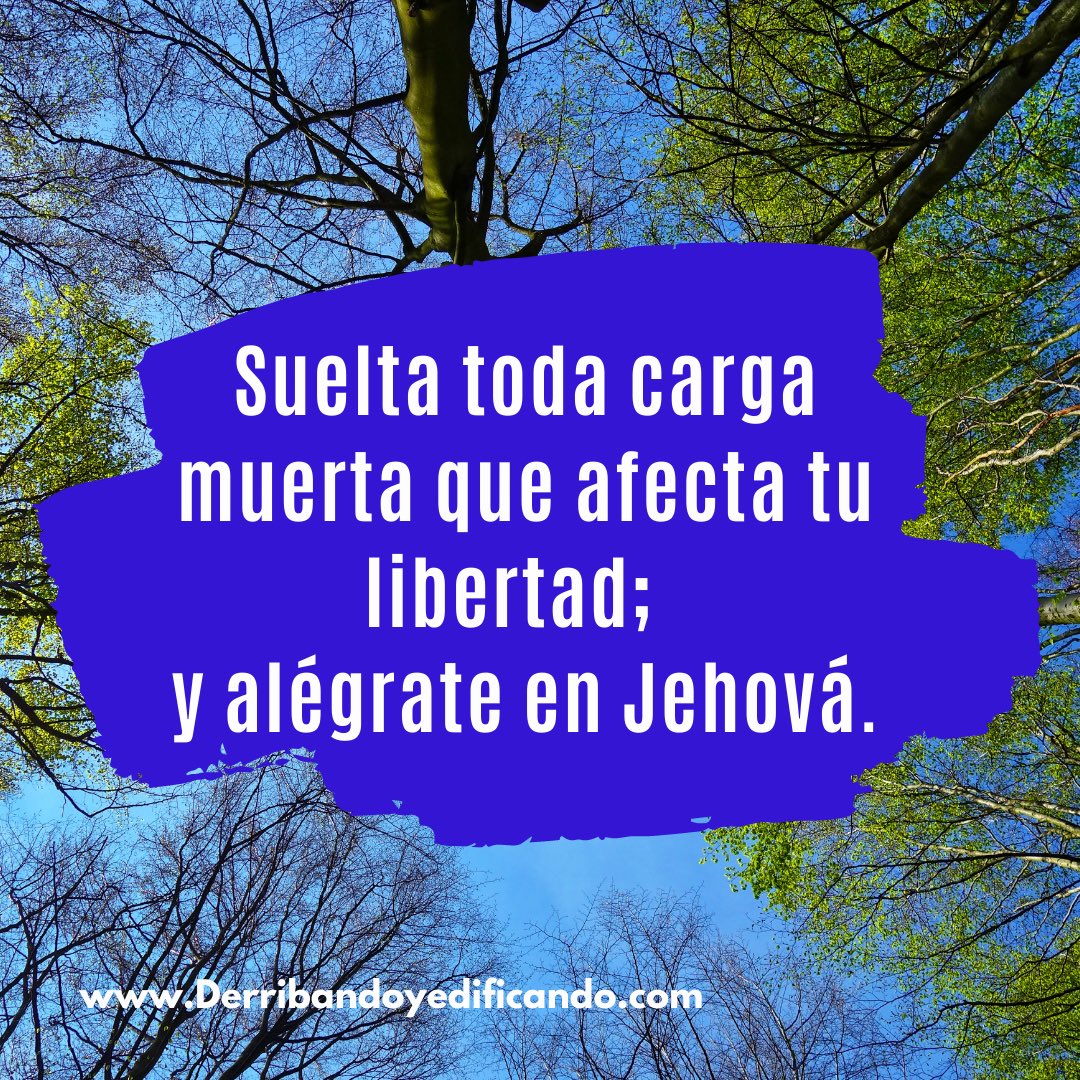 YuberkisCordero's tweet photo. Suelta toda carga muerta que no te permite #avanzar.
Cargas que no fueron enviadas por #Dios, sino impuestas para entorpecer tu avance y tu #libertad.
Suéltalas, y alégrate en Jehová!
#PalabraDelDía #Reflexiones #meditación #frasesdereflexion #Motivacion #derribandoyedificando https://t.co/SopPms53rG