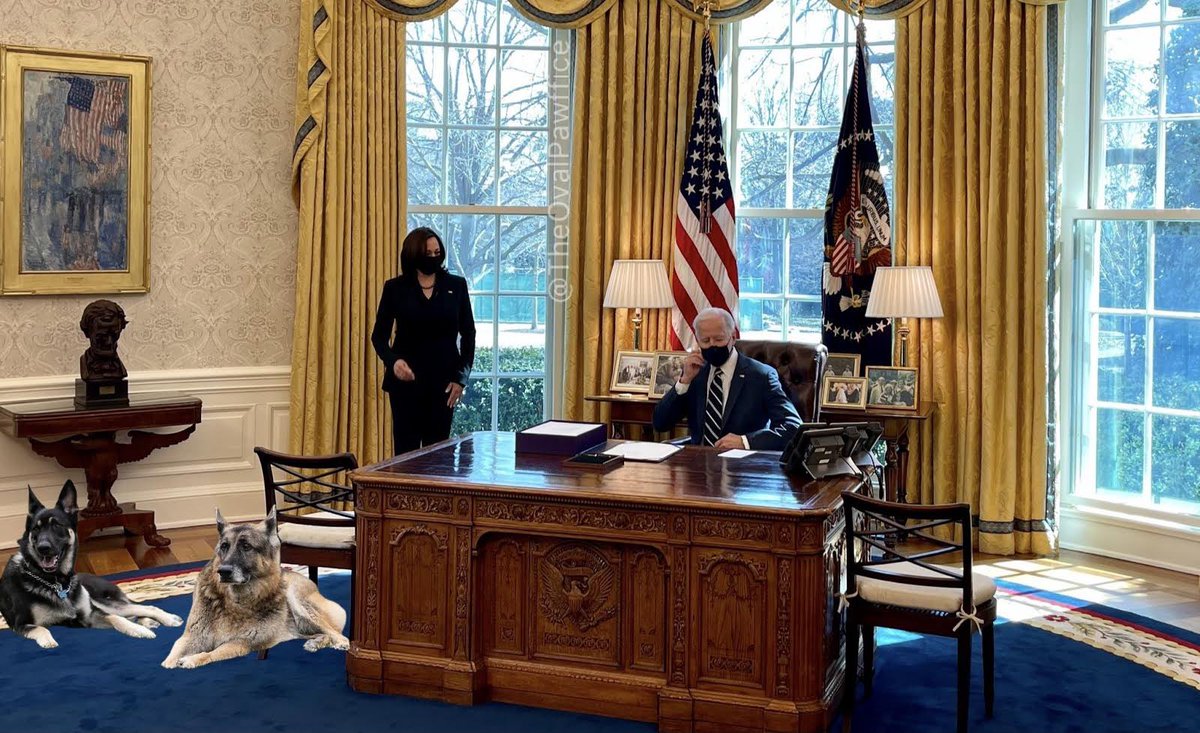 ok_pets's tweet photo. Paw prints Woof! Our dad
@POTUS
signed the American Rescue Plan! Stimulus checks will hit bank pawccounts as early as this weekend, hoomans are being vaccinated pawcross the country. This is a #Major win for Americans. We are keeping our pawmise to #BuildBarkBetter. Happy day! https://t.co/dq5Q6q0GUm