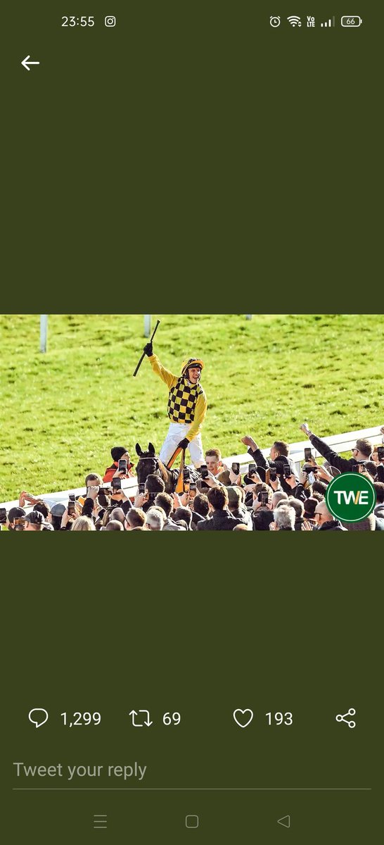 cathalgrieve's tweet photo. @TWEnclosure I'll need the free bets.. https://t.co/HhwlaqaQPR