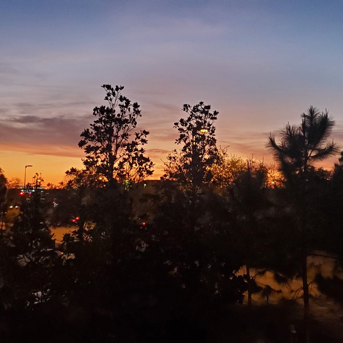 thelonelyauthor (@lonelyauthorny) on Twitter photo 