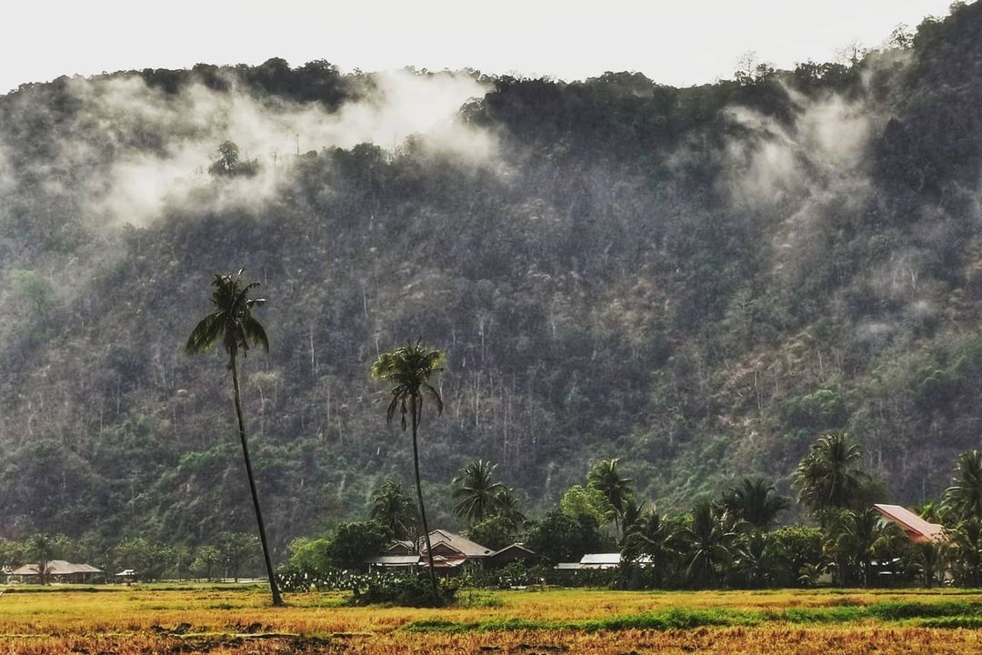 PerlisPermai's tweet photo. 𝗦𝗔𝗟𝗔𝗠 𝗣𝗘𝗥𝗟𝗜𝗦

14 Mac 2021 | 30 Rejab 1442H

Selamat Pagi | 📷 Lukisan Alan @ Kg Wang Ulu, Bintong, Perlis

Kredit foto : Affa Cino 

#PerlisPermai💛💙 #SelamatPagi🌄 
#PKPP🚧 #DudukRumah🏠 #Perlisku #Bintong #Malaysia🇲🇾 p https://t.co/u6NSh2pw2z