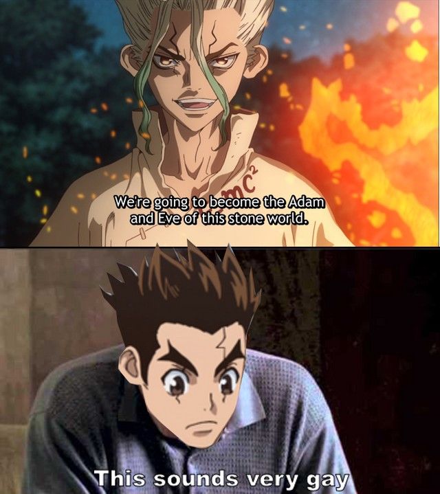 Dr Stone Senku S Promise