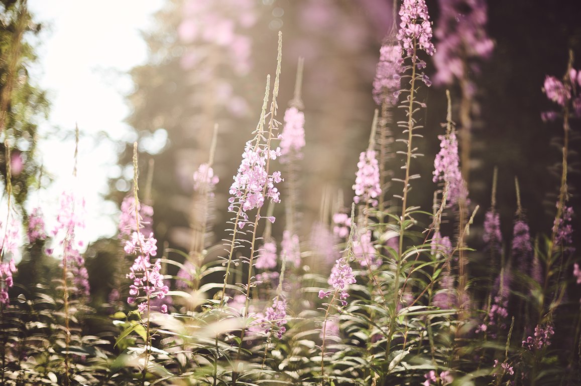 InfinityHomeGrp's tweet image. Don't forget to set your clocks ahead tonight! Spring is just around the corner and the best part is - Sunset tomorrow night is at 7:16PM! #SpringForward #DaylightSavings #Spring #springiscoming