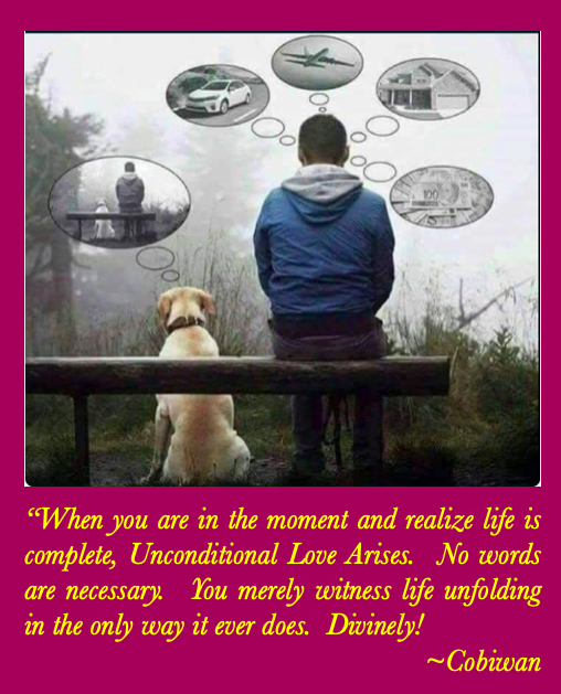 Bobby Cobb | Mindful Life Foundation (@ourmindfullife) on Twitter photo 