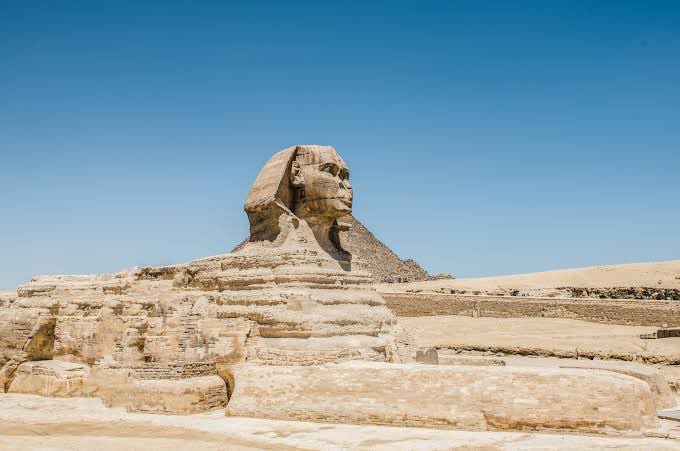 Cutest_Account's tweet photo. #Egypt https://t.co/KHZpmcvX8c