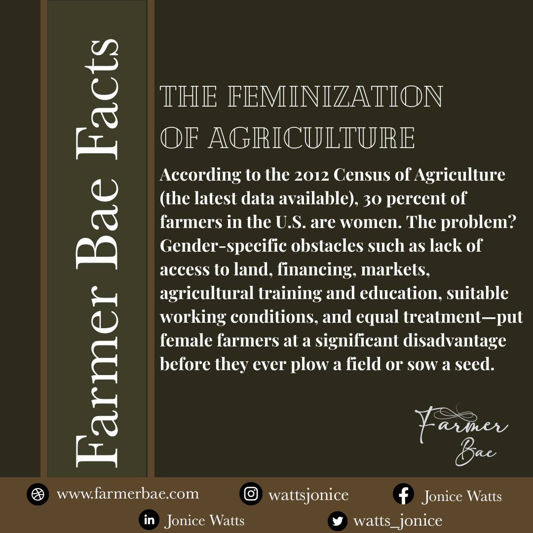 watts_jonice's tweet photo. What’s the truth about the role of women in agriculture? 

Discrimination denies small-scale female farmers the same access men have to fertilizer, seeds, credit, membership in cooperatives and unions, and technical assistance. https://t.co/yB5wjmI0fP