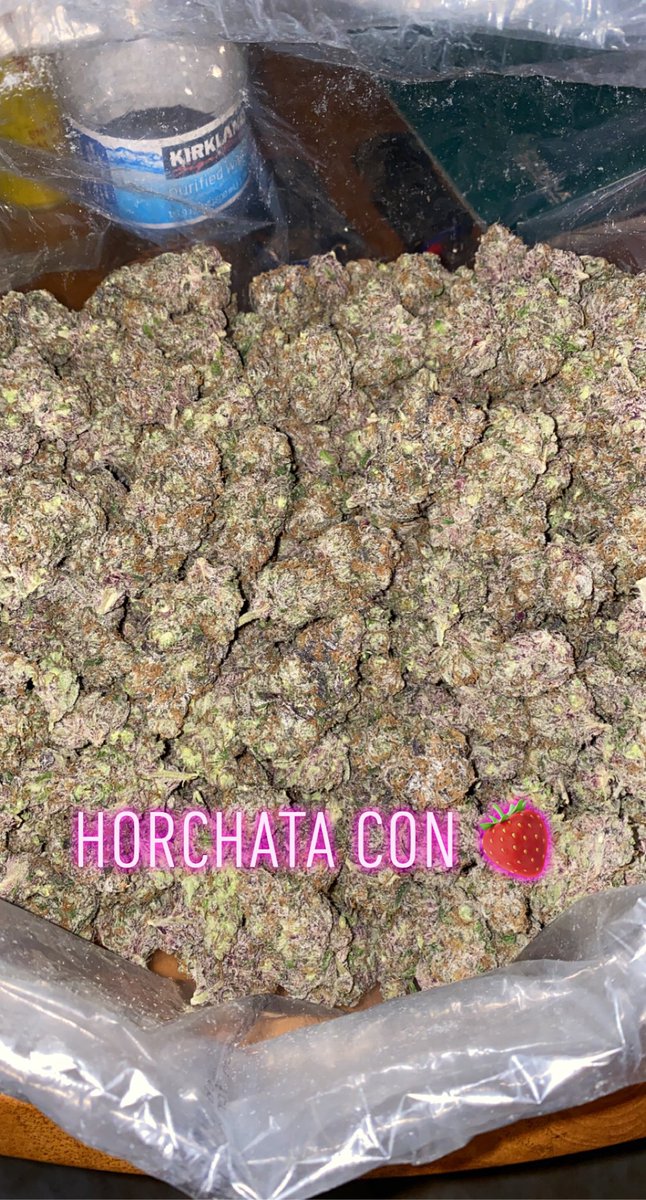 EZ7King420's tweet photo. This #horchataconfresa some super duper terpy strain. Wish everyone could smell this.  #CaliStoner #cookiemoney #topshelflife #StonerFam #onlysmokethefinest #cannabislover #cannafam #growyourown #cannabiscommunity #IamGDC #potporn #HighLifeLiving https://t.co/50tTUstnDr