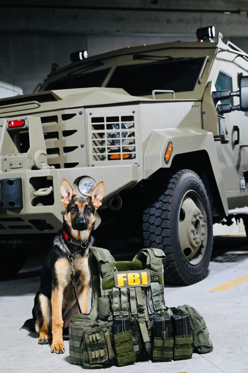 Sometimes heroes have four legs and a furry tail! This #K9VeteransDay, the #FBI honors hardworking dogs who have served our country, including the dogs lost in the line of duty.