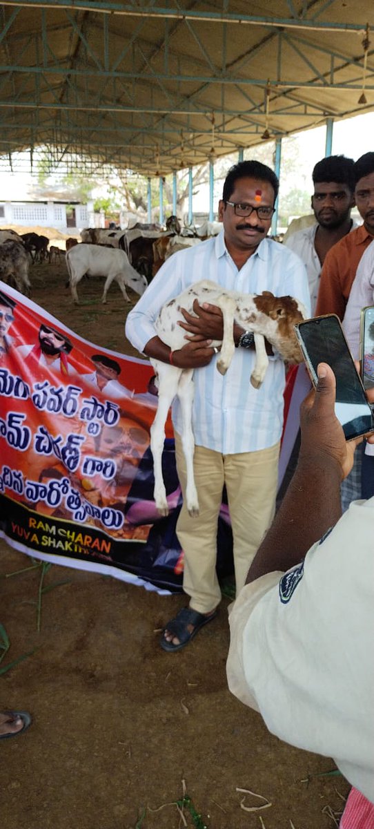 AdoniRc's tweet photo. On event of @AlwaysRamCharan birthday  of one week , @RcyuvashkthiAdi feeding Grass at Panjarapu Cattle shed as 2nd day Program
@RcYuvaShakthi @upasanakonidela @KChiruTweets 
@NagaBabuOffl @sivacherry9 @TeamECFOdisha @sasikuppala https://t.co/3NQaqsRyoF