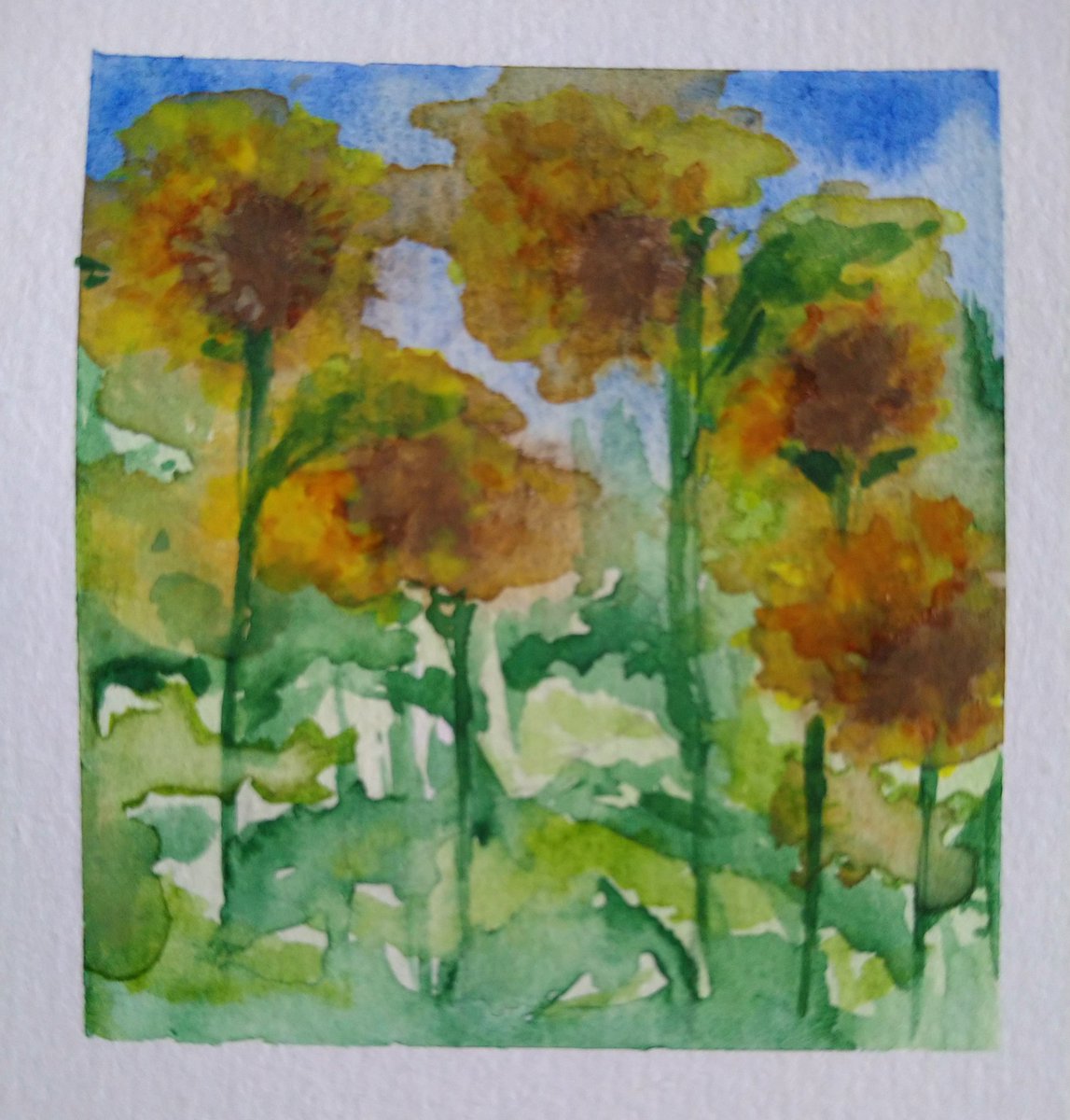 Here comes the Sun...🎹 
Spring we Welcome You 💛