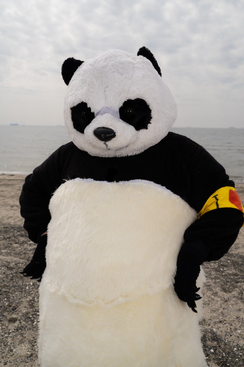 Twitter 上的 皐 呪術廻戦よりパンダ Part1 初稲毛で着ぐるみ 大冒険でしたが素敵に撮影頂けたので まずは桜の下と気持ち背景が海でのお写真から Photo Yuu Kaida コスプレ T Co 641x8dcahk Twitter