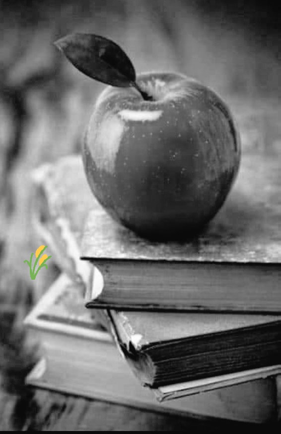 Beuvege1's tweet photo. Día Mundial de la Poesía. https://t.co/lrJxdh3BMZ