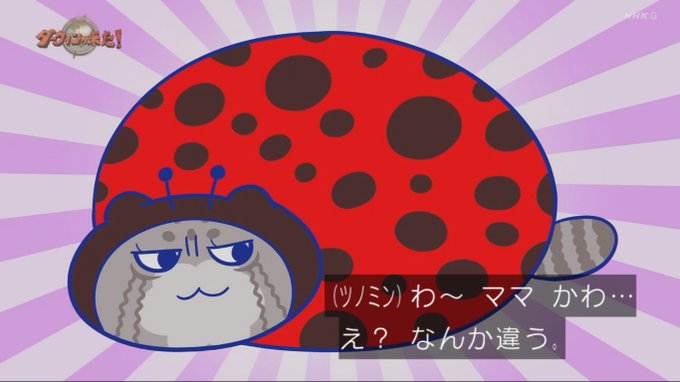 A List Of Tweets Where たあ坊 Taabou S Toybox Was Sent As ダーウィンが来た 1 Whotwi Graphical Twitter Analysis A List Of Tweets Where たあ坊 Taabou S Toybox Was Sent As ダーウィンが来た 1 Whotwi Graphical Twitter Analysis