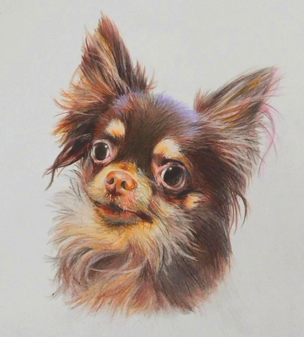 Colorpencildrawingのtwitterイラスト検索結果 Colorpencildrawingのtwitterイラスト検索結果