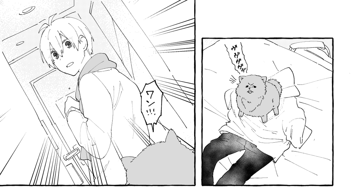 ポメガバのやつ/環壮
脱いでるので一応ワンクッション https://t.co/cZrwmtI7tM 