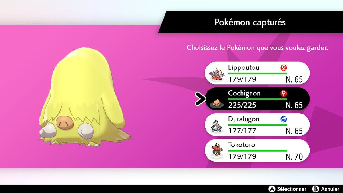 GwenFR50's tweet photo. Cochignon shiny sur l'expé de Tokotoro de quoi bien commencer la journée ☺️ #Shiny #PokemonEpeeBouclier #PokemonShiny #Cochignon https://t.co/k2SAZlASEp