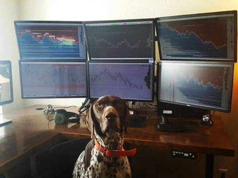 Forex Trading Review Guide tweet media