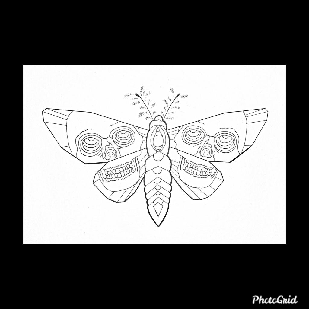 fllann's tweet photo. New design I'm working on . thanks for looking. #design #moth #skull #dots #sacredboldlines #supportlocal #supportsmallbusiness #apparel #creative https://t.co/QHHUjSjudD