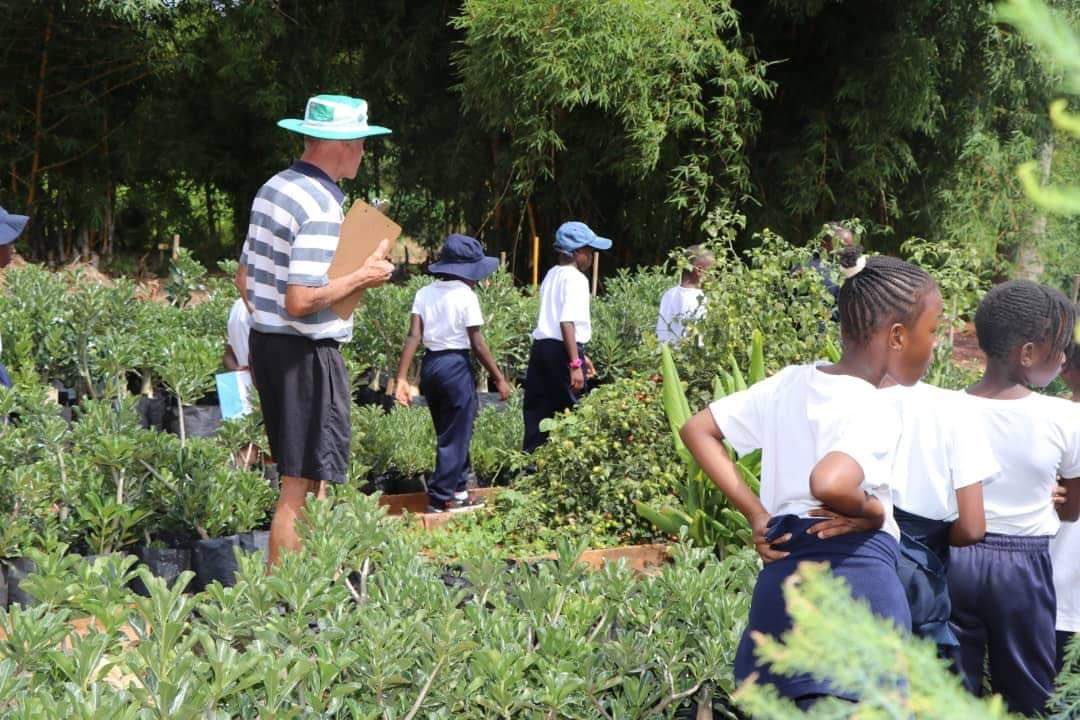 Last year my farm manager had an idea to start running educational tours at the farm in order to generate extra income (He’s former Head Teacher of Twin Rivers, Harare).That was obviously disrupted by Covid but next week we’re starting again and fully booked for April! 