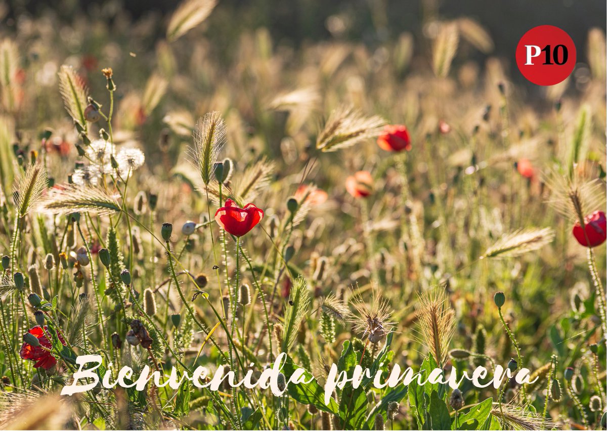 Prestamo10's tweet photo. Una vez más damos la bienvenida a la primavera, estamos seguros de que este año la disfrutaremos más. Recordad que estamos muy cerca de ti.
#prestamo10 https://t.co/udPKi2LOda