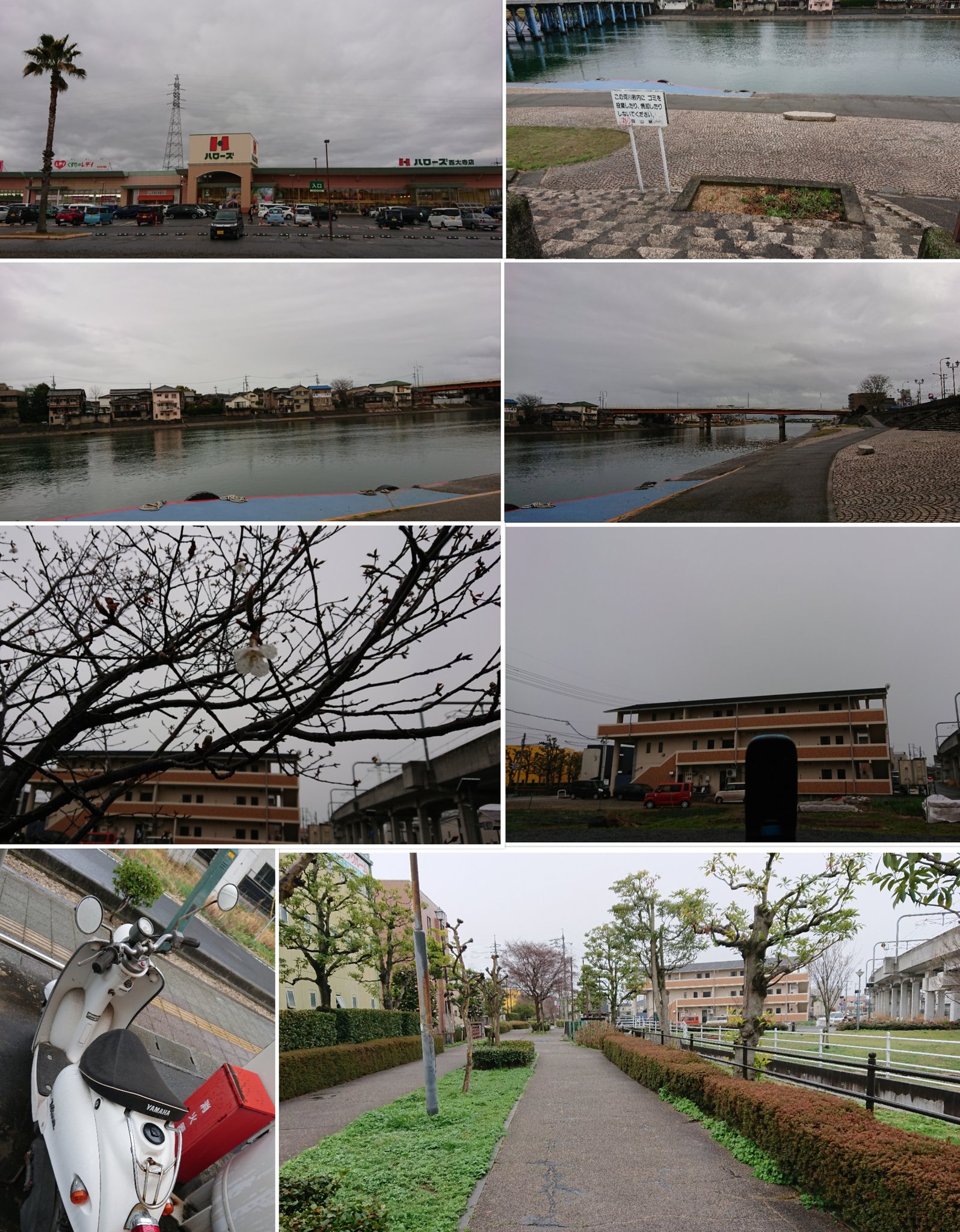 西大寺ハローズ Twitter Search Twitter