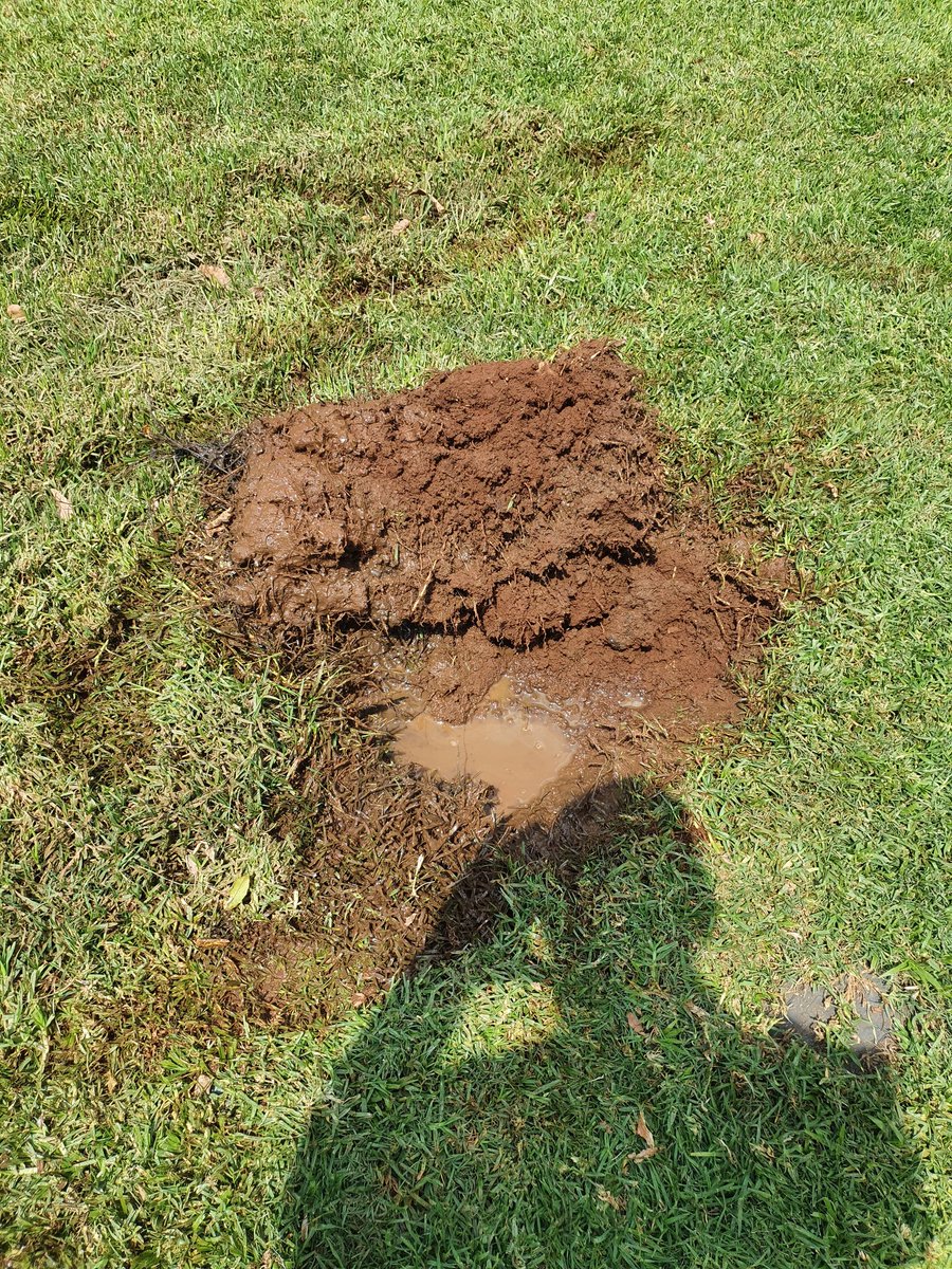 V_Cook89's tweet photo. @JHBWater you have a leaking water mains at 1 capricorn close, Sundowner

It's flowing into the owners property and causing a swamp smell. https://t.co/lgcSsZ6EgA