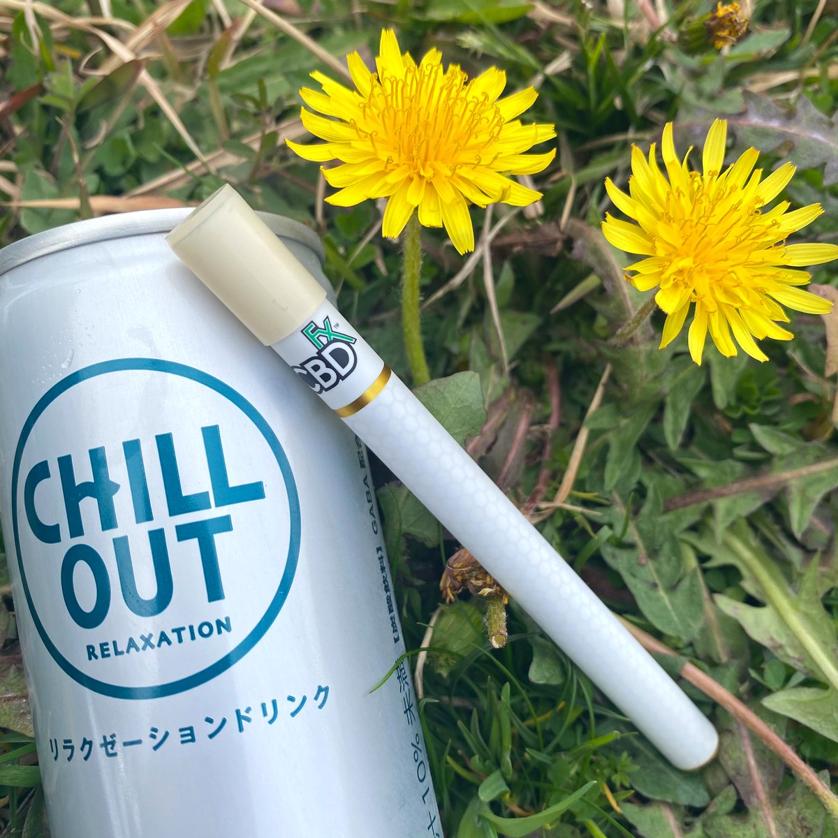 CANNARICH_CBD's tweet photo. もうすっかり春ですね🌸

先日購入させていただいたCBD fxさんのジェラート🍨が調子良いです！

5%と他のリキッドと比べると濃度は
低いのですがブロードスペクトラムの
おかげかしっかりと体感できて👍です！

何よりも良いのは使い捨てで、
充電の必要がないのが便利です！
@CBDfxjp
 @CBDhonpo https://t.co/7GRGRXfPBv