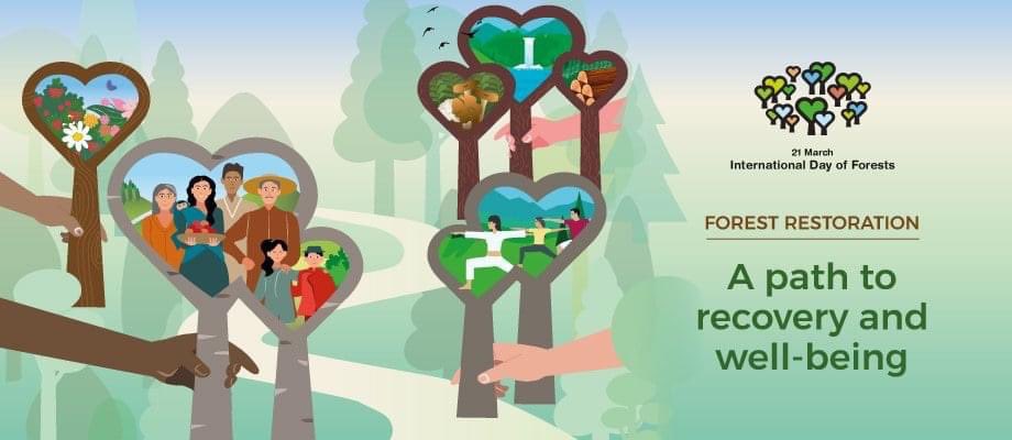 assofloro's tweet photo. Giornata internazionale delle foreste: piantiamo alberi provenienti da vivai italiani. https://t.co/EtjvWTtiLS #IntlForestDay #generationrestoration #ForestDay2021 https://t.co/WvuYqKlVqh