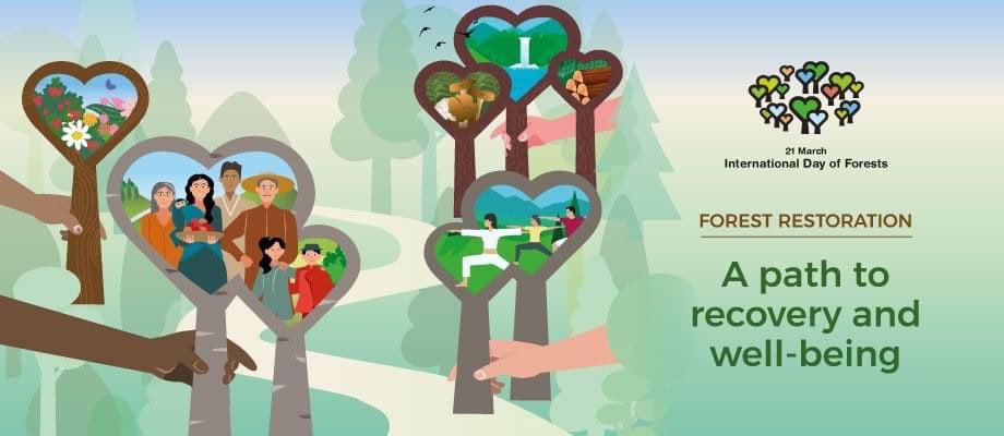 Giornata internazionale delle foreste: piantiamo alberi provenienti da vivai italiani. assofloromagazine.it/giornata-inter… #IntlForestDay #generationrestoration #ForestDay2021