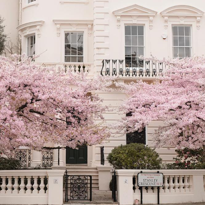 Pretty London 🌸🌸🌸

 #auroralondon #londoncalling #londonlove #prettycitylondon #londoncalling #britain #skyline #citychic #architecture