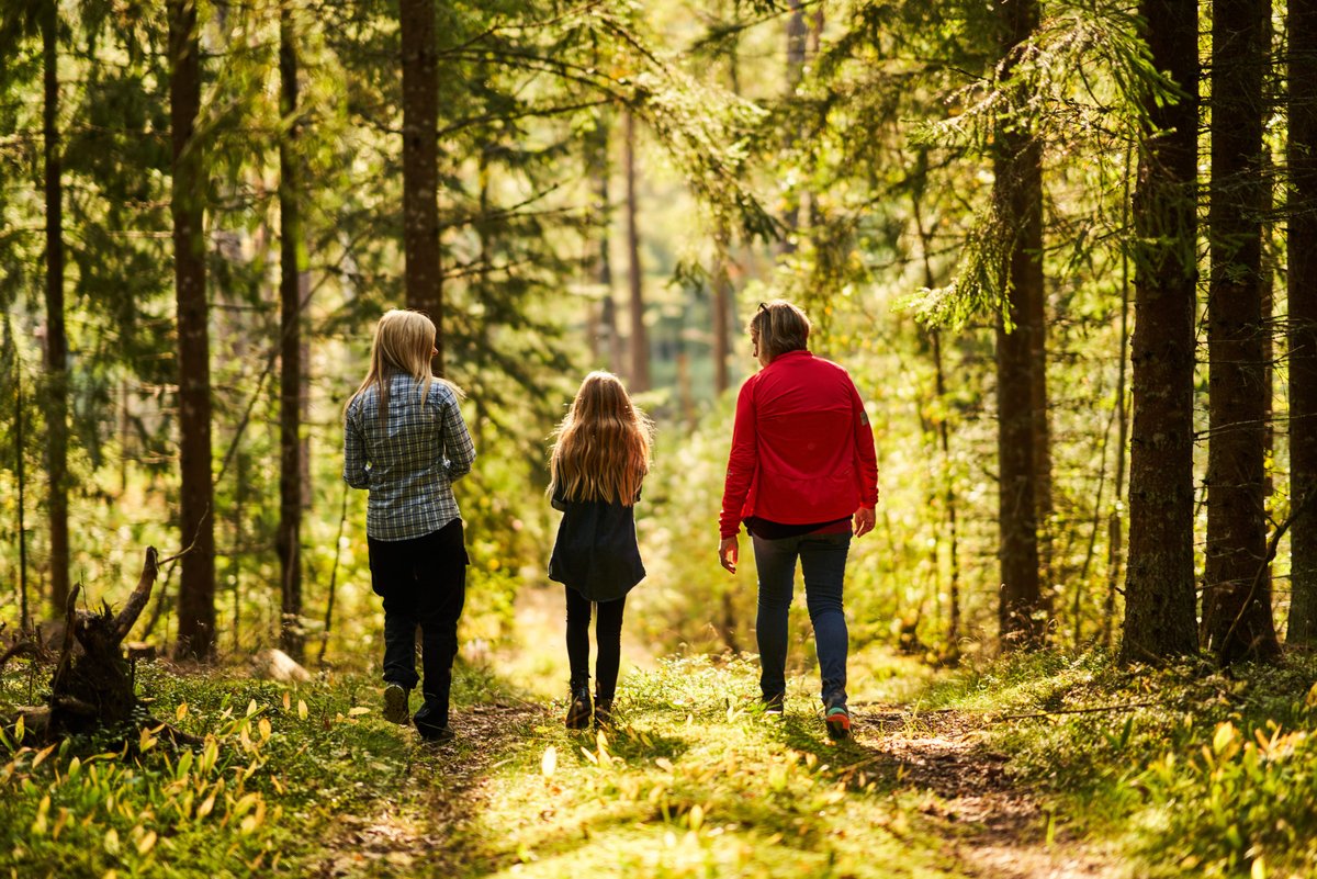 Happy #IntlForestDay! Today, we would like to applaud forest owners👏and their essential role in achieving climate-smart forestry. Through planning and sustainable forest management they foster biodiversity and bioeconomy!
eugreensource.org
#Greensource🤝<a href="/Cepi_Paper/">Cepi</a> &amp; EPIS