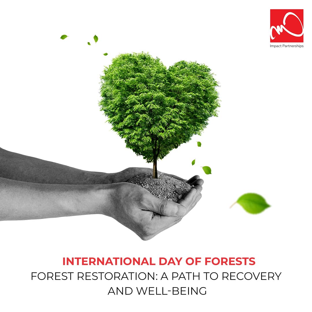 Alimeimpact's tweet photo. This year's International Day of Forest theme focuses on Forest Restoration: A Path to Recovery and Wellbeing.
The restoration and sustainable management of forests help address the climate change and biodiversity crises.
#internationaldayofforests #IDF2020 #IDF #climate https://t.co/NFXMhIPwgj