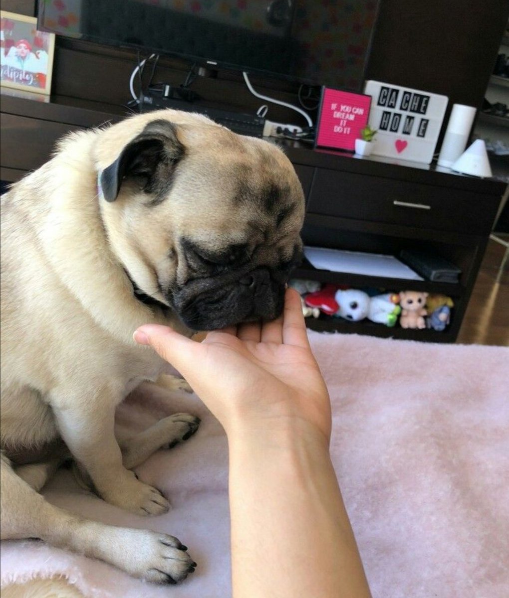 CacherLady's tweet image. Calle Besando a.       //.       Ramón Que Está 
otro perrito.                //.          Pasando  Ahy