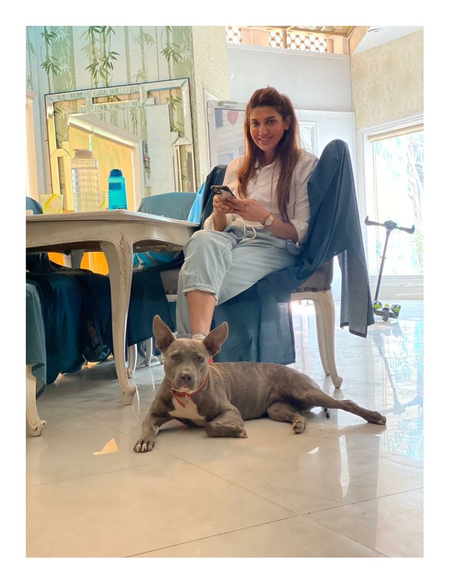 SanaSensation's tweet photo. A quiet afternoon with Benjee...
#SanaFakhar #ahumansbestfriend🐶🐾 #afternoon #weekend #life #weekendvibes #chill #home #homesweethome #benjee #goodlife https://t.co/eunxQVuov9