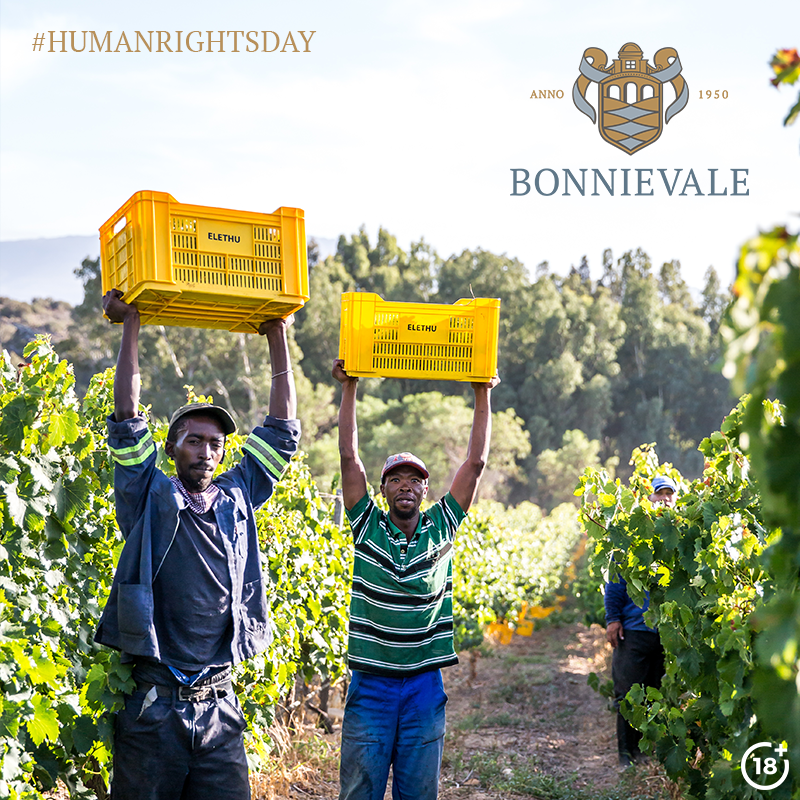 This day is both a celebration of the rights of all citizens and a solemn remembrance of the suffering that solidified these rights. Let us remember together and celebrate this wonderful country, join us in celebrating Human Rights Day🇿🇦

#bonnievalewines #humanrightsday #C ...