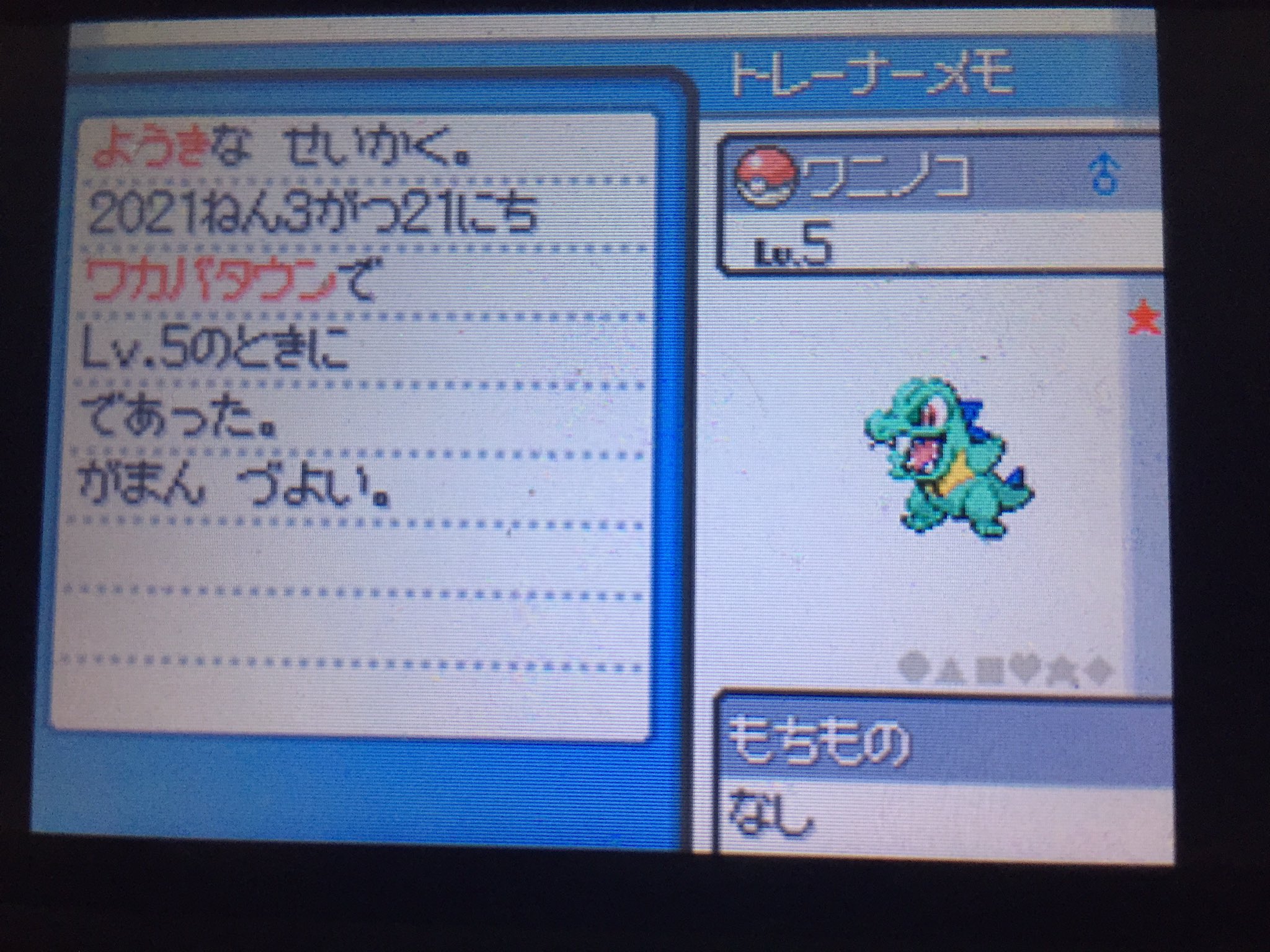 つるぎ ワ民 Hgssで色違い連れ歩きしたいと思ってウツギリセットしてたらワニノコで色違い出た 背ビレも青でキレイ