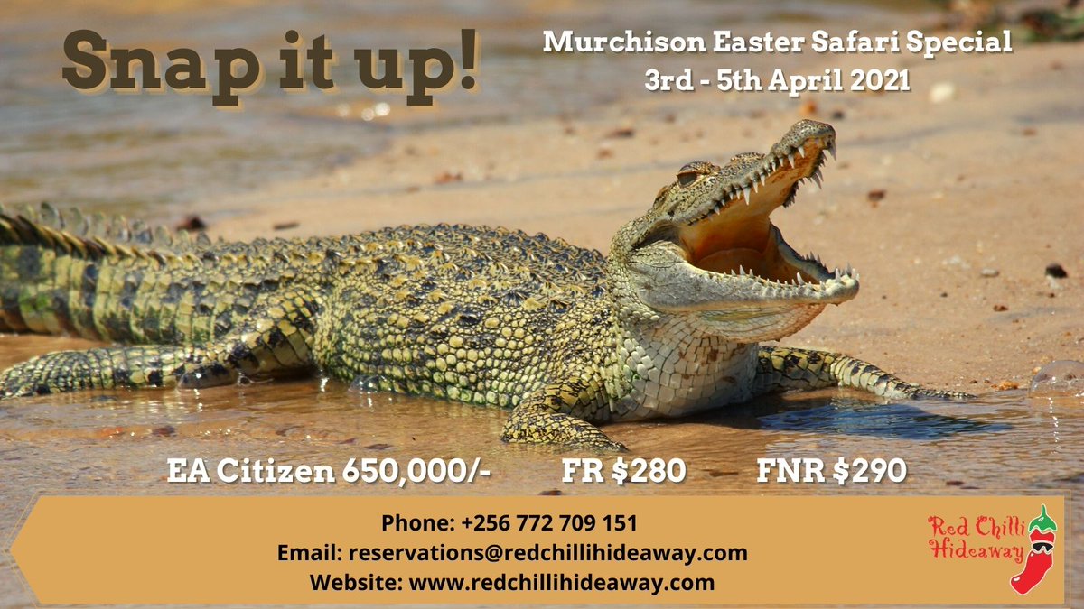 RedChilliUganda's tweet photo. Still thinking of getting away for the Easter weekend? Get in touch with us, price includes: transport to &amp; from Kampala, top of the falls hike, boat trip, 2 game drives &amp; shared accommodation in 
furnished safari tents #GetOutThere #GoToTheParks #Uganda #Safari #Easter https://t.co/cGTVPwpINH