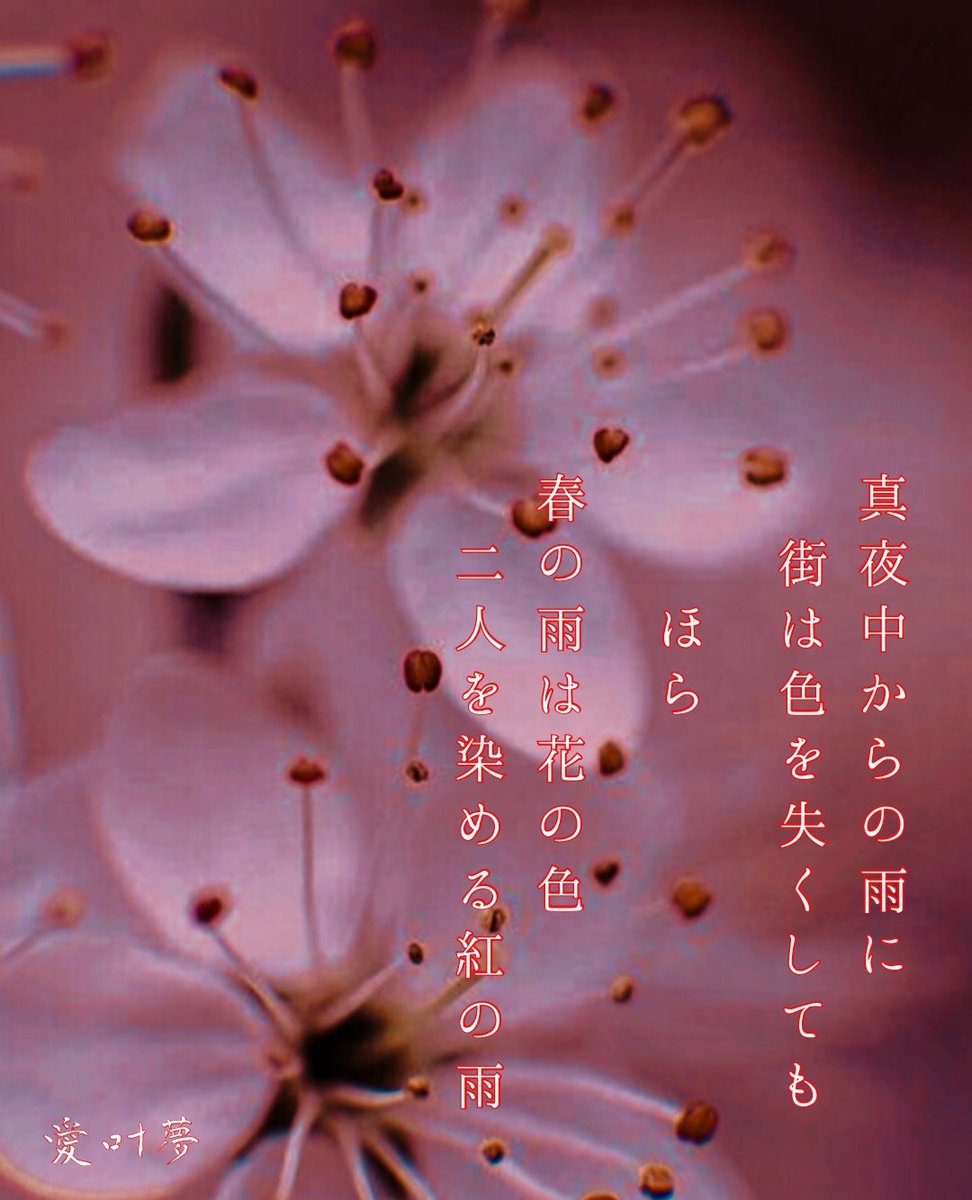 愛叶夢 Atom 花色の雨 愛 その302 詩書きさんと繋がりたい 遠距離恋愛 詩 恋詩 恋愛詩 恋詩人 恋詩人愛叶夢 写真詩 タップ推奨