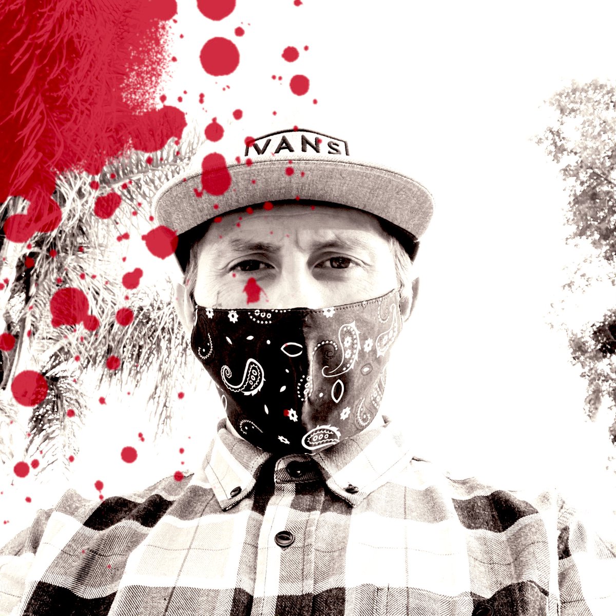 macks bee tweet media