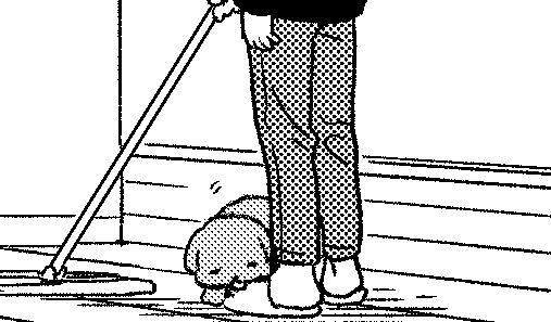 今月の見どころ。 