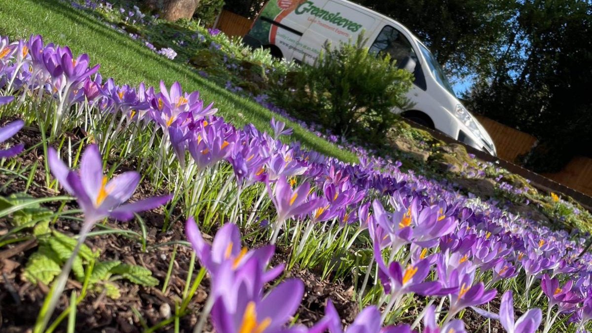 SPRING has finally arrived, and we are thrilled! 

Did you know that grass grows quicker and stronger in March than any other time of year?

Find your #Spring Seasonal #LawnCare Calendar here greensleeves-uk.com/lawn-care-cale…
