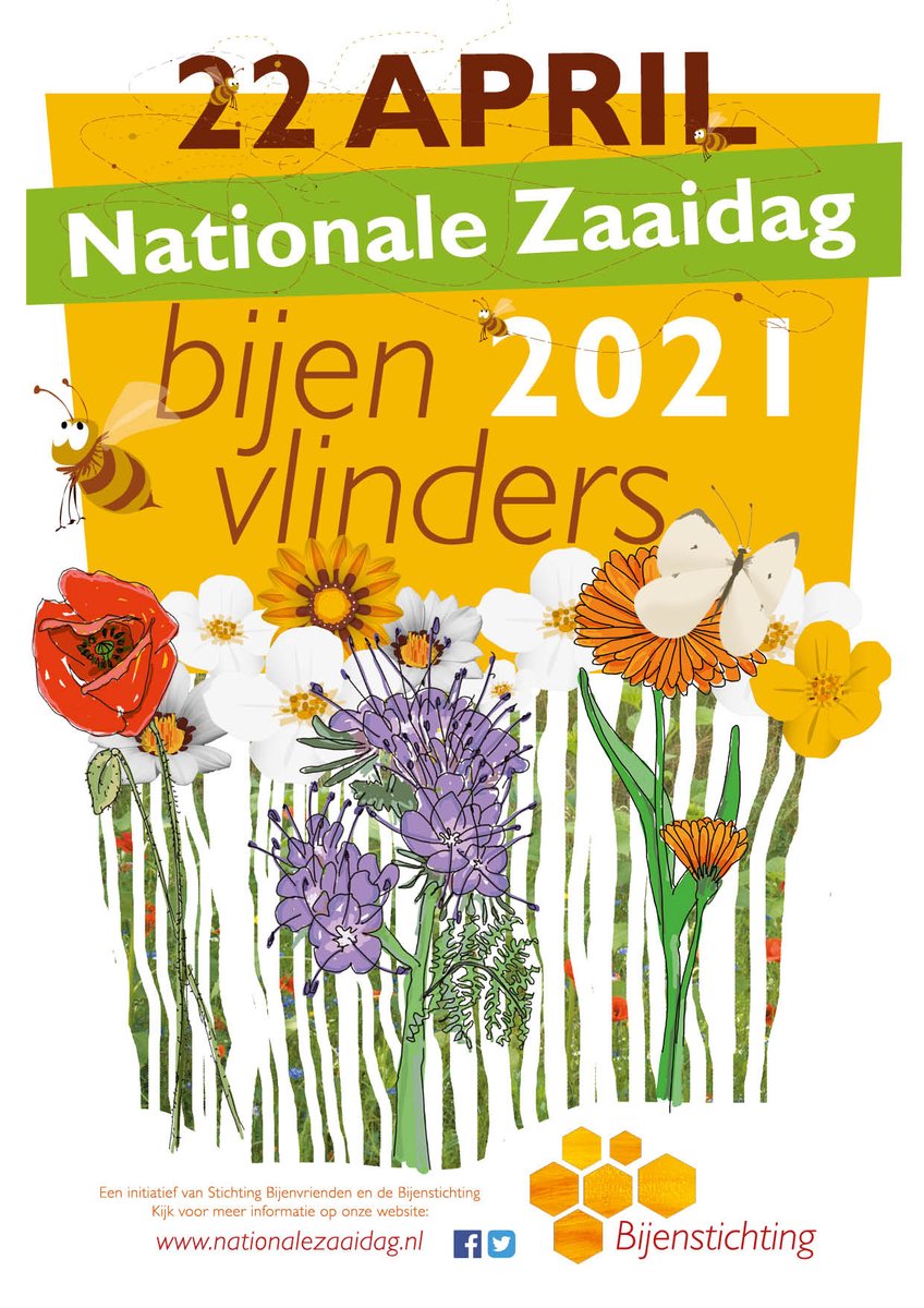 Hoe mijn tweet in 2013, zaaien voor bijen en vlinders, de basis vormde voor de Nationale Zaaidag! Acht jaar verder hebben deze insecten nog altijd onze hulp hard nodig! Zaaien doet Zoemen!! #wildebijen #vlinders #bijen #inheems #biologisch #steenbreek #earthday