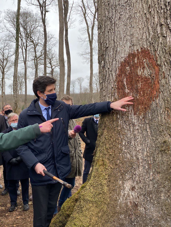Qu’elle soit la source de son activité professionnelle,  le cadre d’une balade dominicale ou simplement un lieu d’émerveillement  ; nous avons tous une histoire avec nos forêts ! 

Ensemble, célébrons la 🌳

#JournéeInternationaledesForets