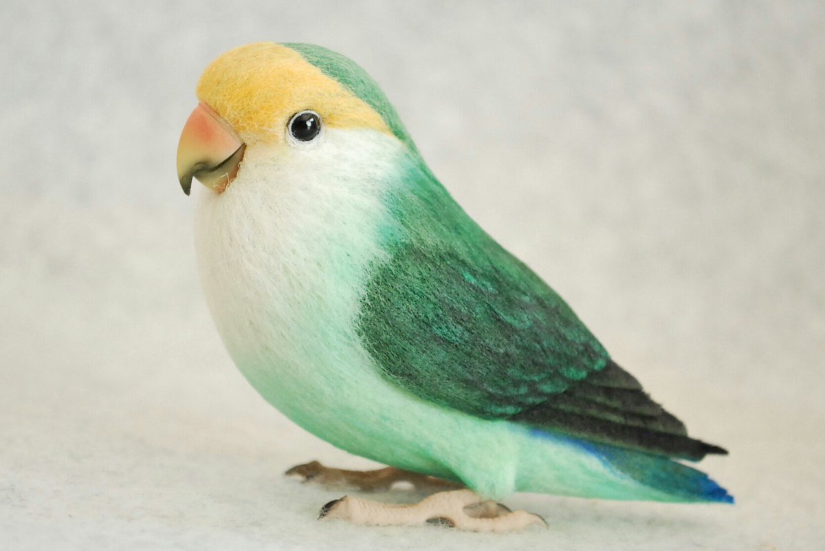 Thank you very much to you watching this tweet.
I can not wait for the end of this pandemic.  So I opened my shop again. But It cannot be sent to some areas where the international mail service from Japan is closed.
I hope you are doing well during this difficult time.